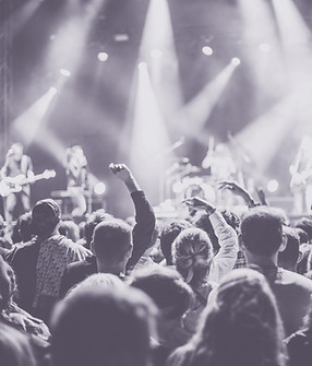 Audience at a live concert
